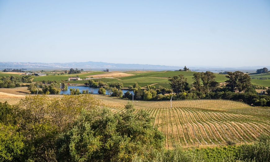 Image 11: 20% Off Outdoor Wine & Charcuterie Box at Artesa Winery