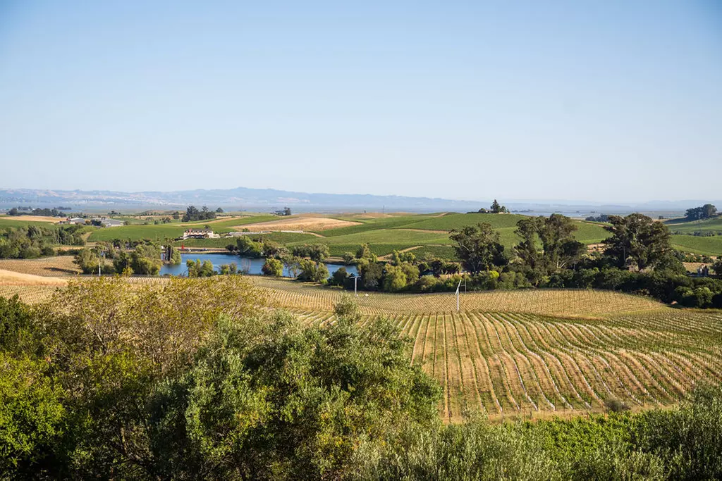 20% Off Outdoor Wine & Charcuterie Box at Artesa Winery