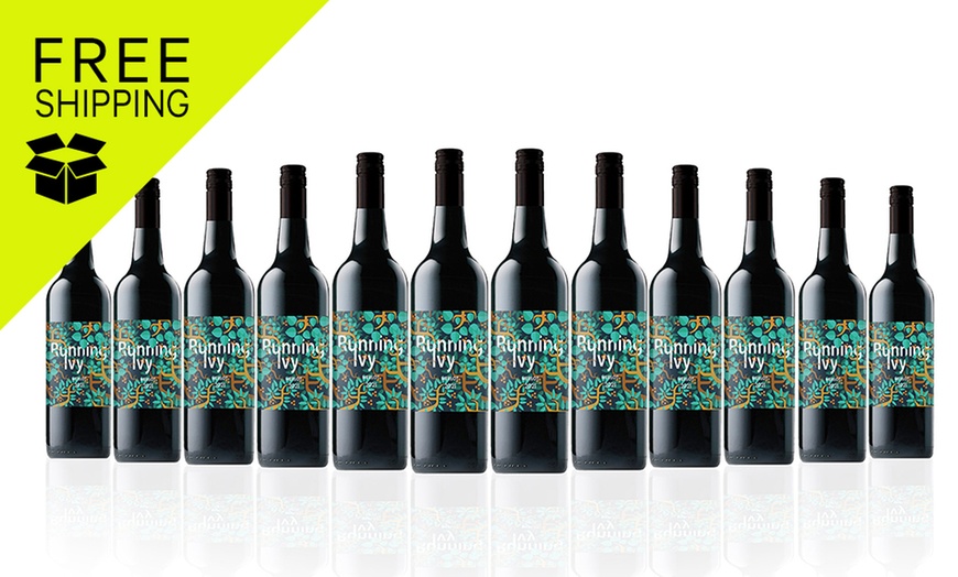 Image 1: Running Ivy Merlot (12 bottles)