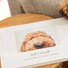 Image 8: Custom Photo Books from Shutterfly