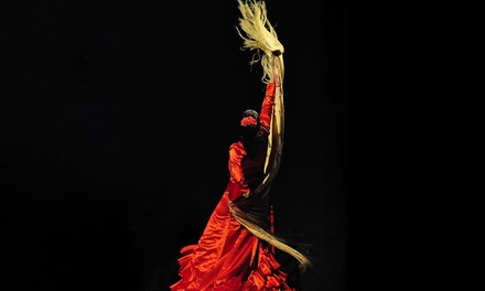 Para 1 persona: entrada a espectáculo de flamenco en Casa Duende - Casa Duende Tablao