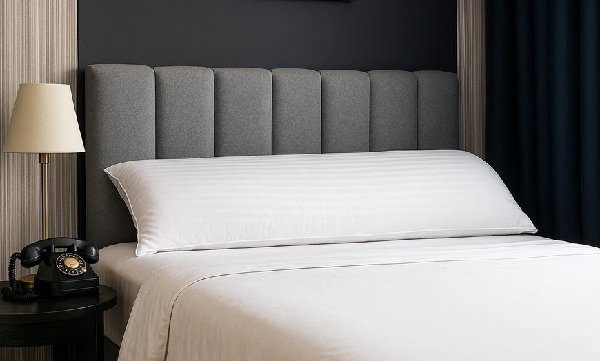 Image 1: Palace Feather kussen, dons en veren, Sampur