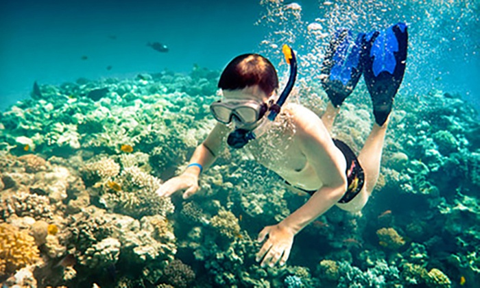 All-Day Snorkel Fun in Key Largo – From Sunrise to Sunset