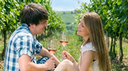 Full-Day Winery Bus Tour for One with Meal and Souvenirs - Winos