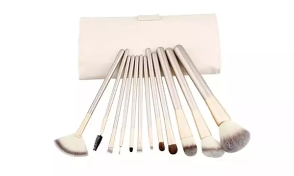 13-Piece Professional Make-Up Brush Set with a Storage Case - 1 or 2
