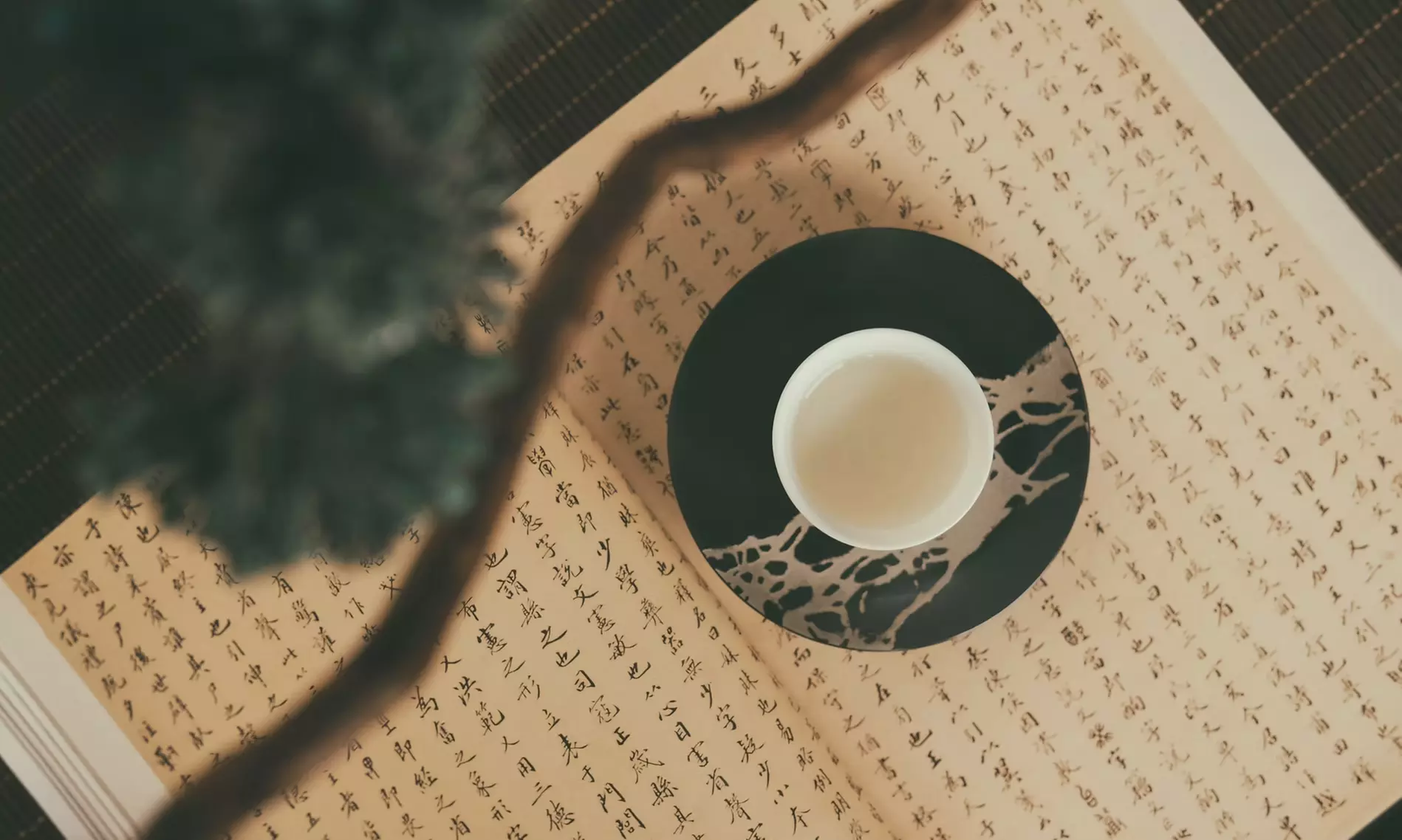 Massage chinois TUI NA, équilibre et bien-être de 1h