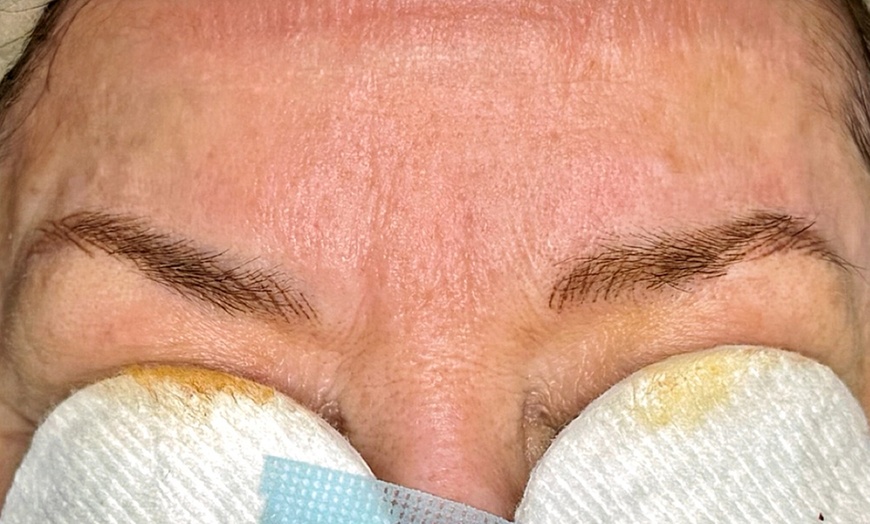 Image 8: Permanent Makeup nano Brows Powder Brows and Lip Blush