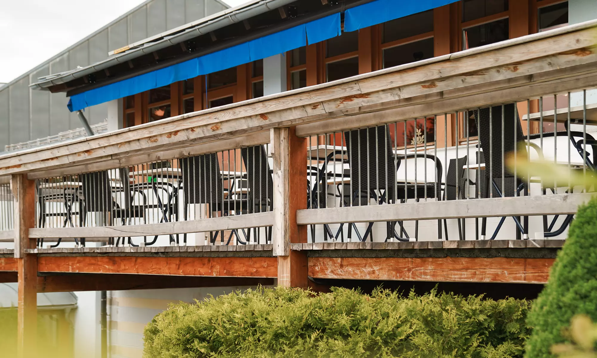 Bayerischer Wald: Wellness & Halbpension im Doppelzimmer