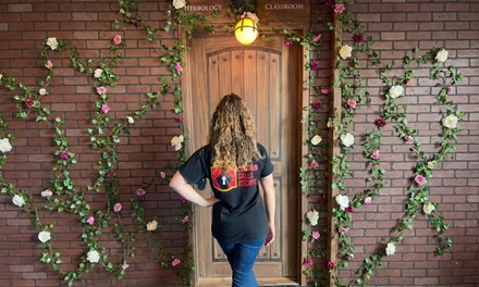 60-Min Private Escape Room for 4 in The Magical Miscalculation - Curtain Calls Xscape - Norfolk, VA