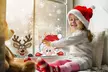 Four or Eight Pieces Christmas Window Stickers - Style 1 or 2  with Free Shipping (Up To 71% Off) - Image 7