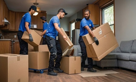 Move-Day Remounting tv service  (42 inches and under) - Long Horn Moving and logistics