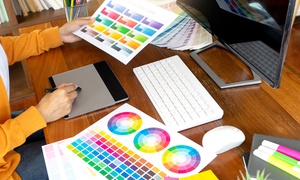 Web & Graphic Design 3-course Bundle 