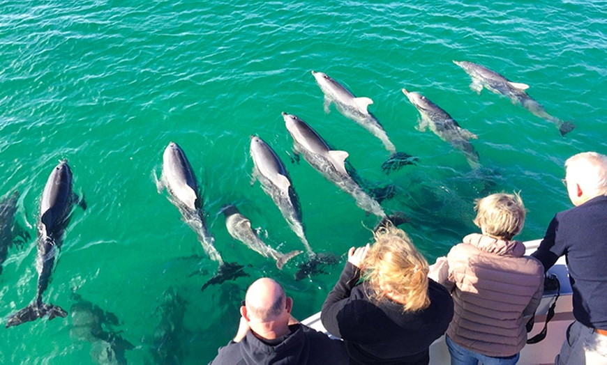 Image 2: 75-Minute or 2-Hour Kangaroo Island Coastal Safari Boat Tour
