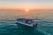 Explore Key West: Unforgettable Dolphin Watch & Snorkel Tours - Image 3