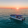 Image 3: Key West Dolphin Watch & Snorkel Tour