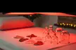 Indulge in Esthetics by Faith's One or Three Sessions Gua Sha & Cupping Red Light Therapy (Up to 70% Off) - Image 4