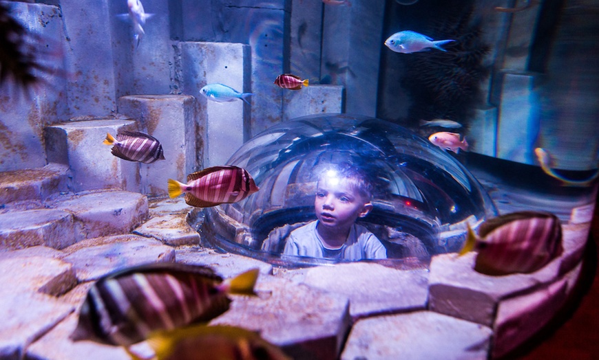 Image 5: General Admission to Sea Life Melbourne Aquarium