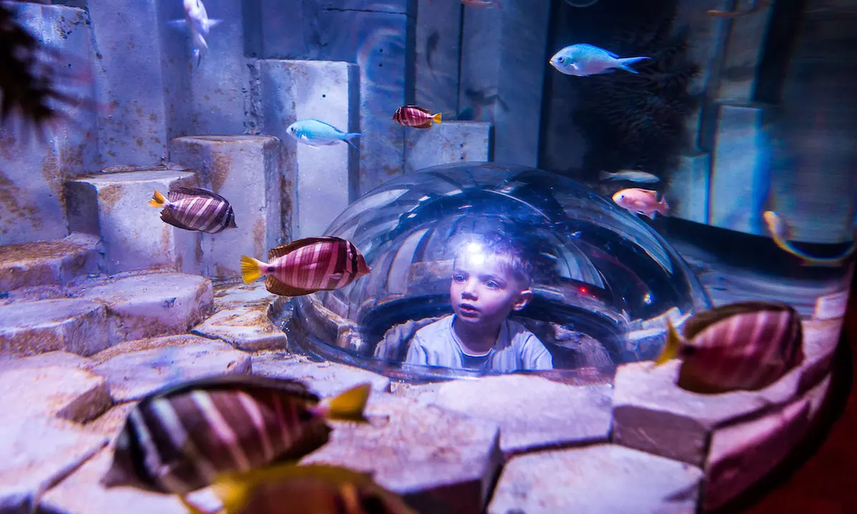 Sea Life Melbourne Aquarium Adult Entry At Child Prices -