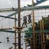 Image 1: Vivary High Ropes Ultimate or Extreme Adventure or Adventure Challenge