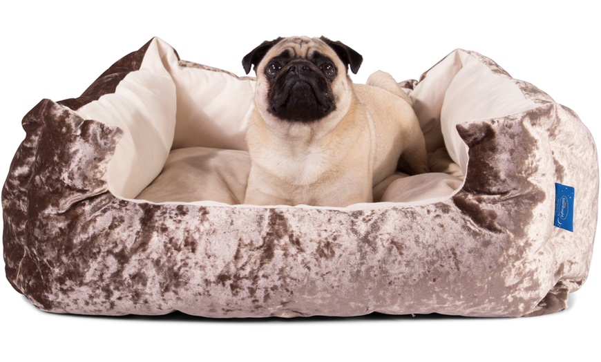 silentnight dog beds groupon