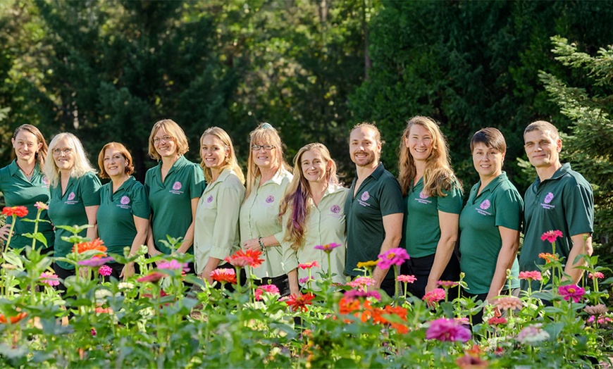 Image 4: Rejuvenate with a 60-minute Therapeutic, or Sport Massage