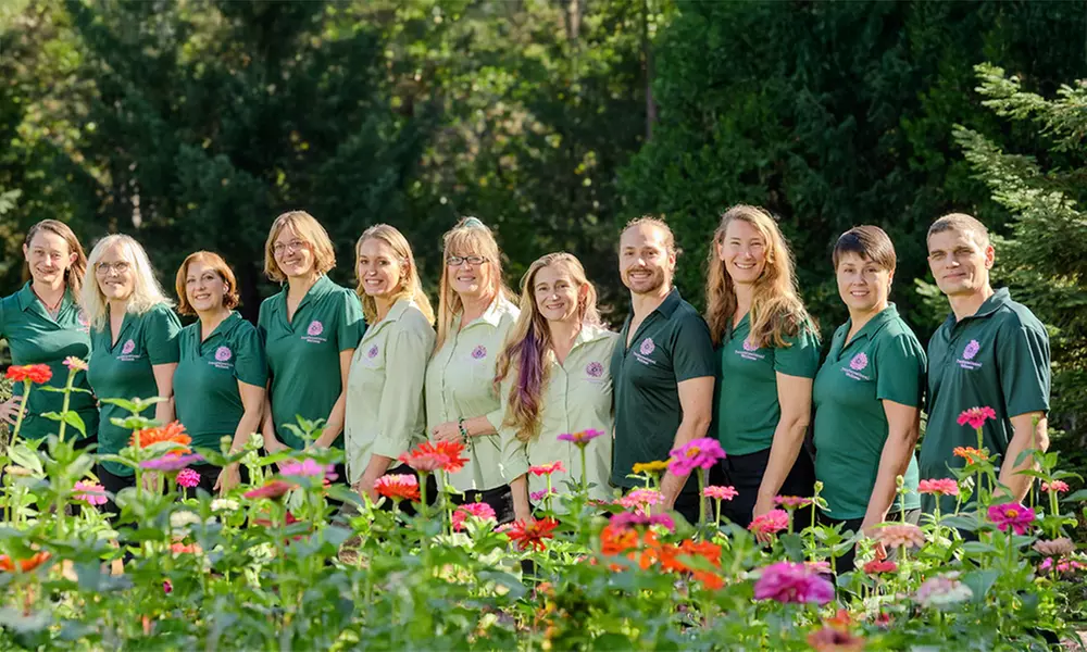 Rejuvenate with a 60-minute Therapeutic, or Sport Massage