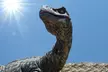 Up to 27% Off Toward Dinosaur Park Admission for 2, 3, or 4 - Second Medium