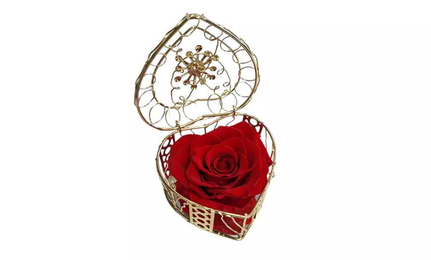 Image 6: Rosa eterna