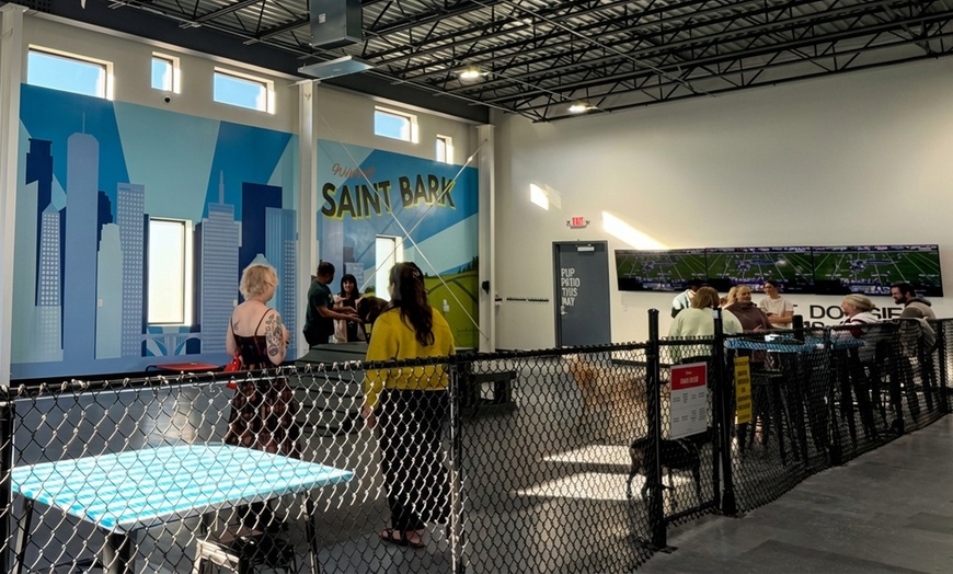 Image 4: Indoor Dog Park Day Pass with Drinks for You