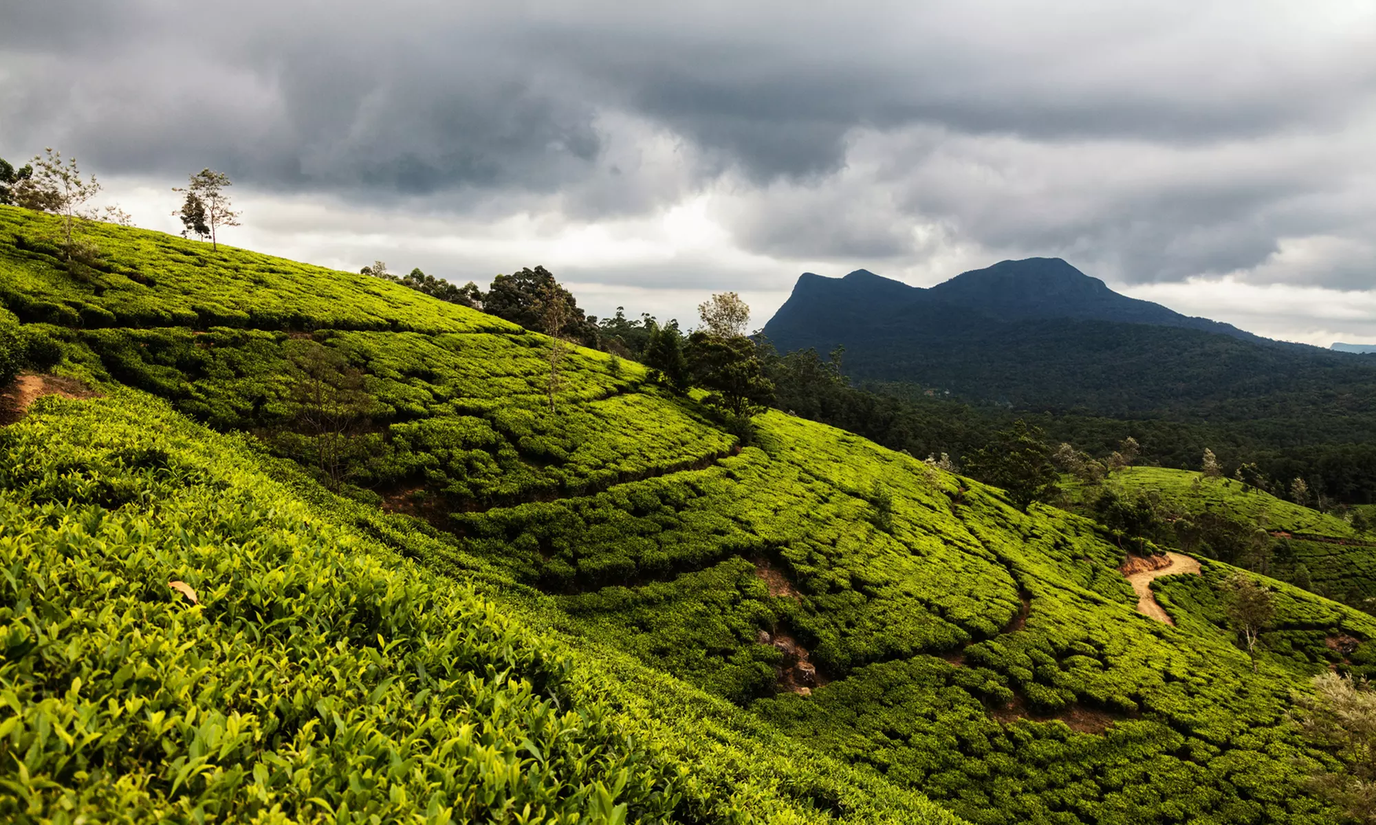 Beruwala: 3 or 4 Nights with Daily Breakfast, Dinner, City Tour & More