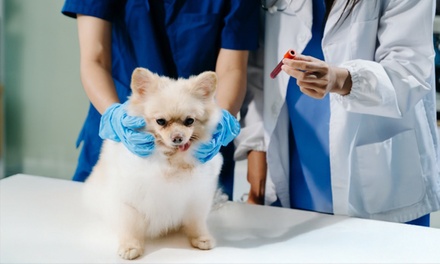 Training for Animal Care - Khan Education