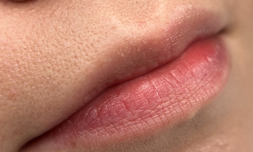 Image 2: Permanent Makeup: Soft Powder Brows or Natural Lip Blush (2.5-4.5 Hrs)