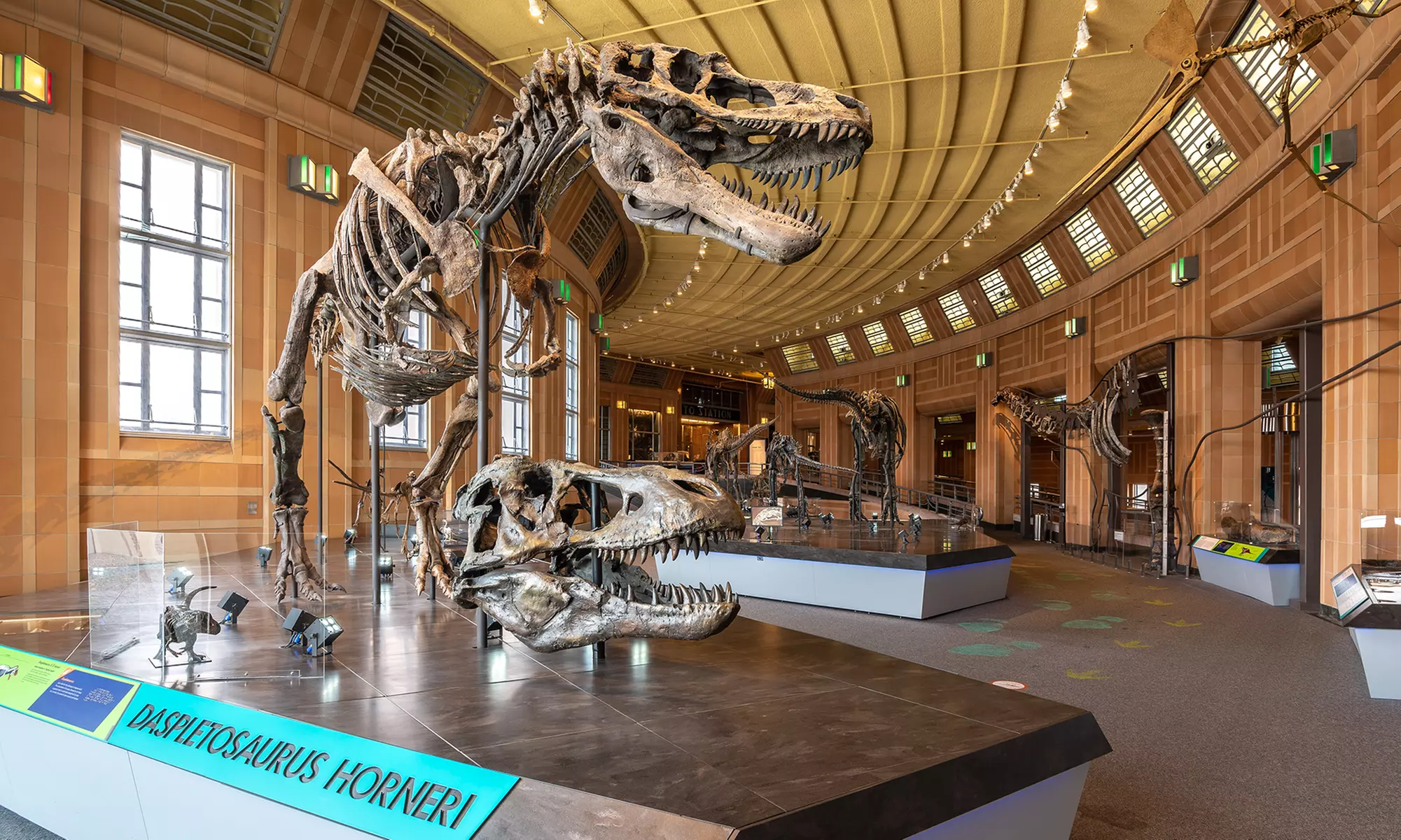 Explore History and Culture with Child, Senior, or Adult Admission