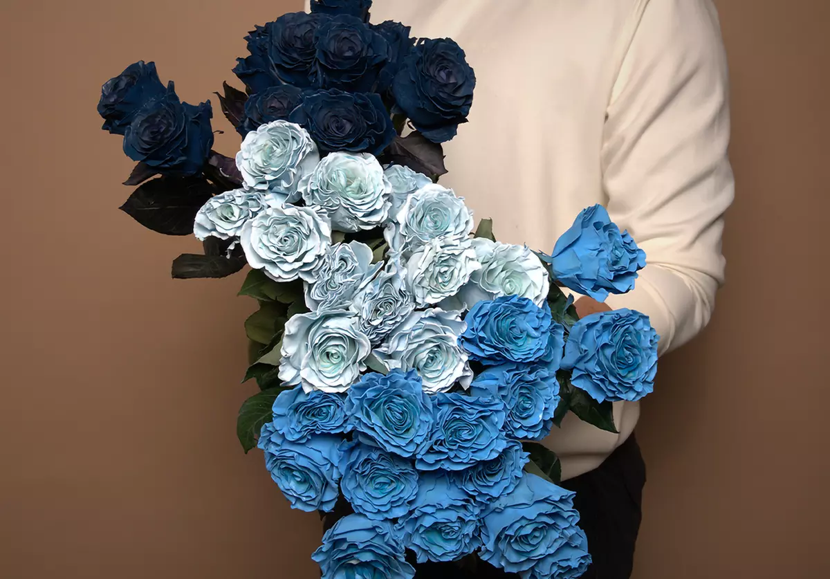 Unbelievable Blue Roses at Rosaholics. Up to 71% Off.