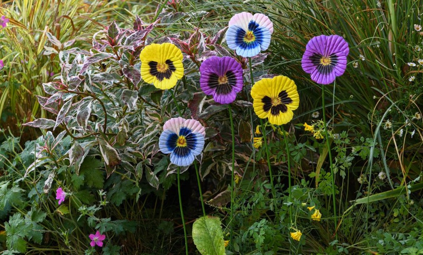 Image 13: 6 or 12 Pack of Metal Flower Stakes - Pansy / Sunflower / Daisy
