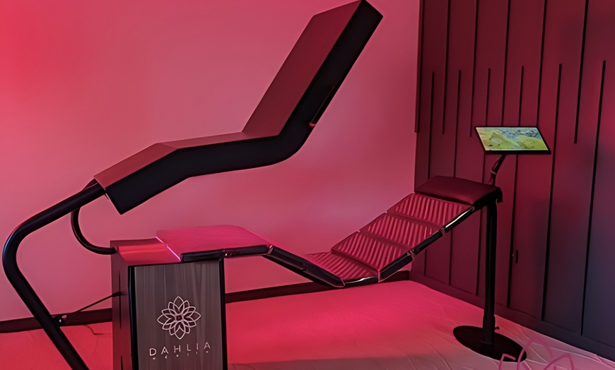Image 2: Full Spectrum Red Light Therapy with Vibration Plate Session