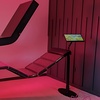 Image 2: Full Spectrum Red Light Therapy with Vibration Plate Session