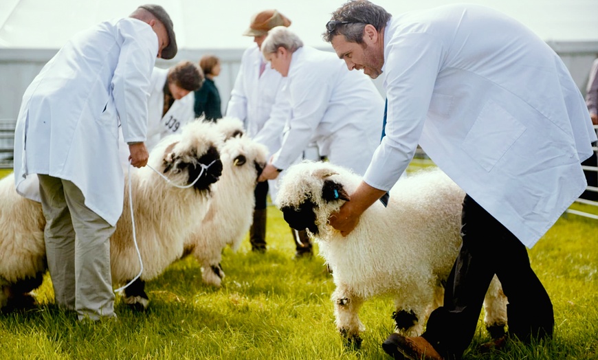 Image 3: Royal Cheshire County Show | Cheshire | 17-18 June 2025