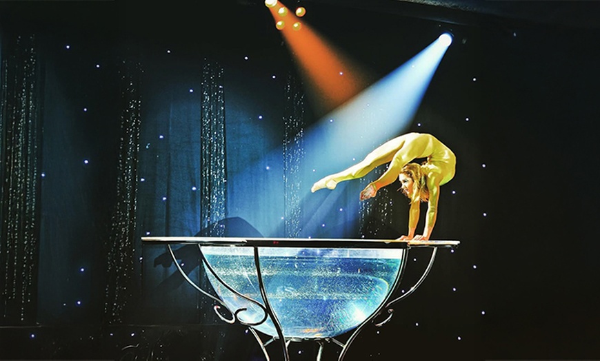 Image 7: Ticket für die La Piazza X-MAS Show vom 16. - 31.01.26 in Hamburg