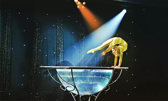 Ticket für die La Piazza X-MAS Show vom 16. - 31.01.26 in Hamburg