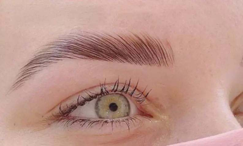 Up to 55% Off on Eyebrow Tinting at X Beauty 29