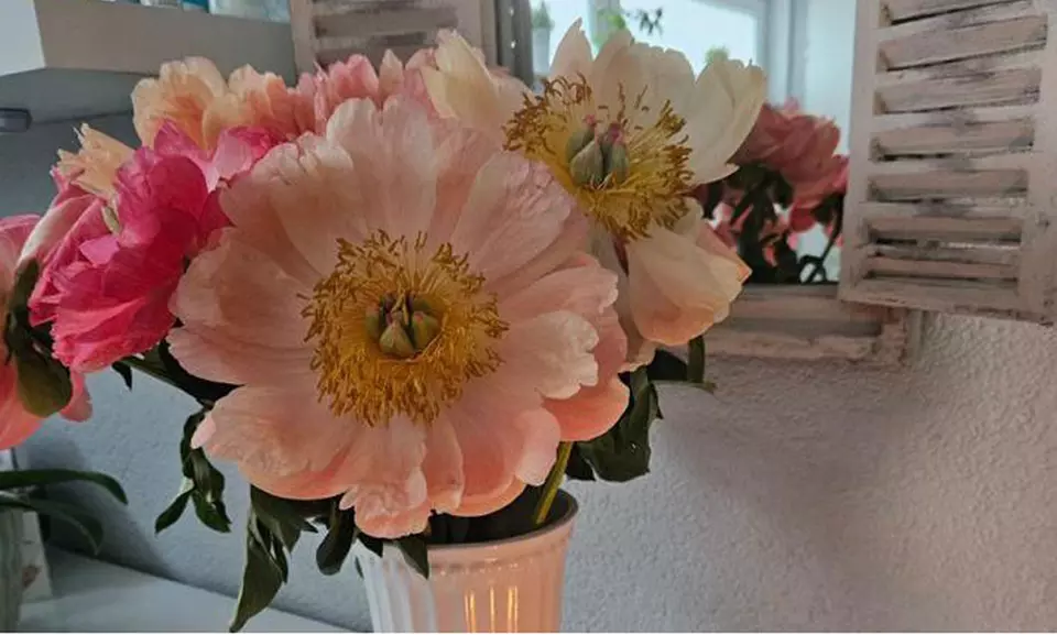 Permanent Make-up für Lidstrich oder Lippen inkl. Nachbehandlung