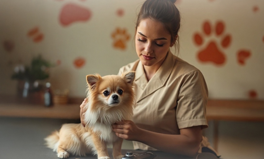 Image 1: Pamper Your Pet w/ Full Grooming for Cats & Dogs (Under or Over 20kg)