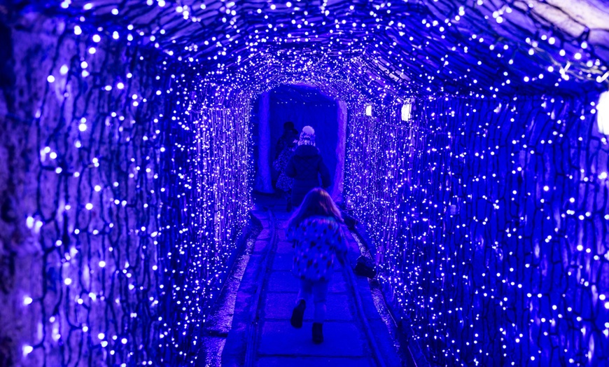 Image 10: Tunnel of Lights This is Christmas Through Dec 31, 2024