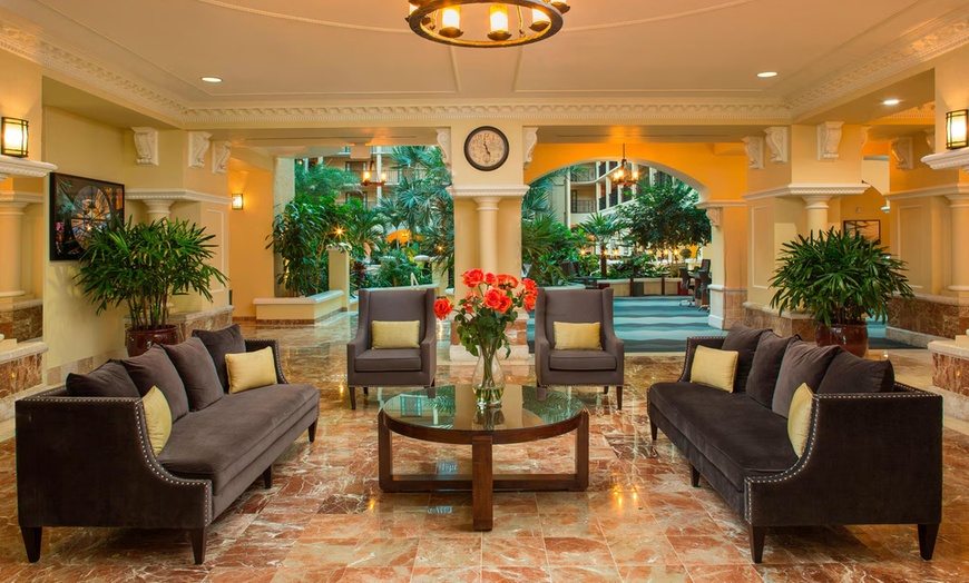 Image 3: Budget Hotel in Westshore District Near Tampa Airport & Riverwalk