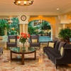 Image 3: Budget Hotel in Westshore District Near Tampa Airport & Riverwalk