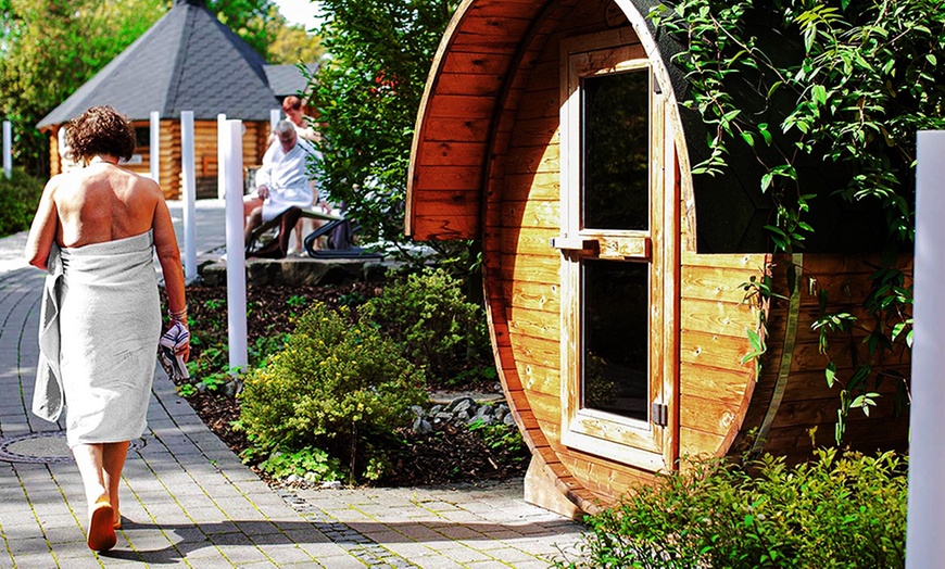 Image 9: Tageskarte für die Saunawelt im Gesundheitspark Netphen