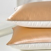 Image 11: 21 Momme Pure Silk Hotel Grade Pillowcase Pair