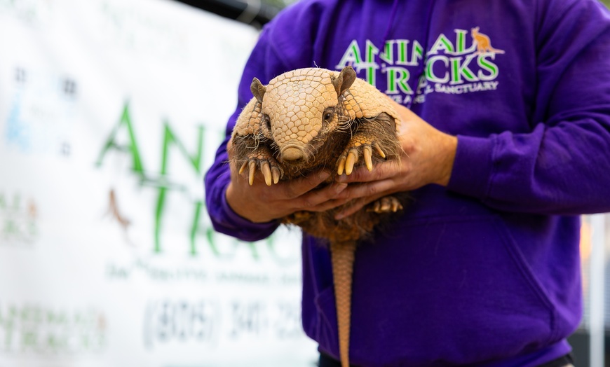 Image 5: Animal Encounters, VIP Experiences, or Wildlife Educator for a Day!