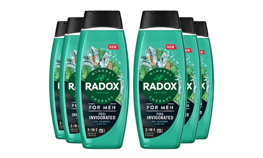 Image 4: Radox Mineral Therapy 2in1 Shower Gel and Shampoo 450ml